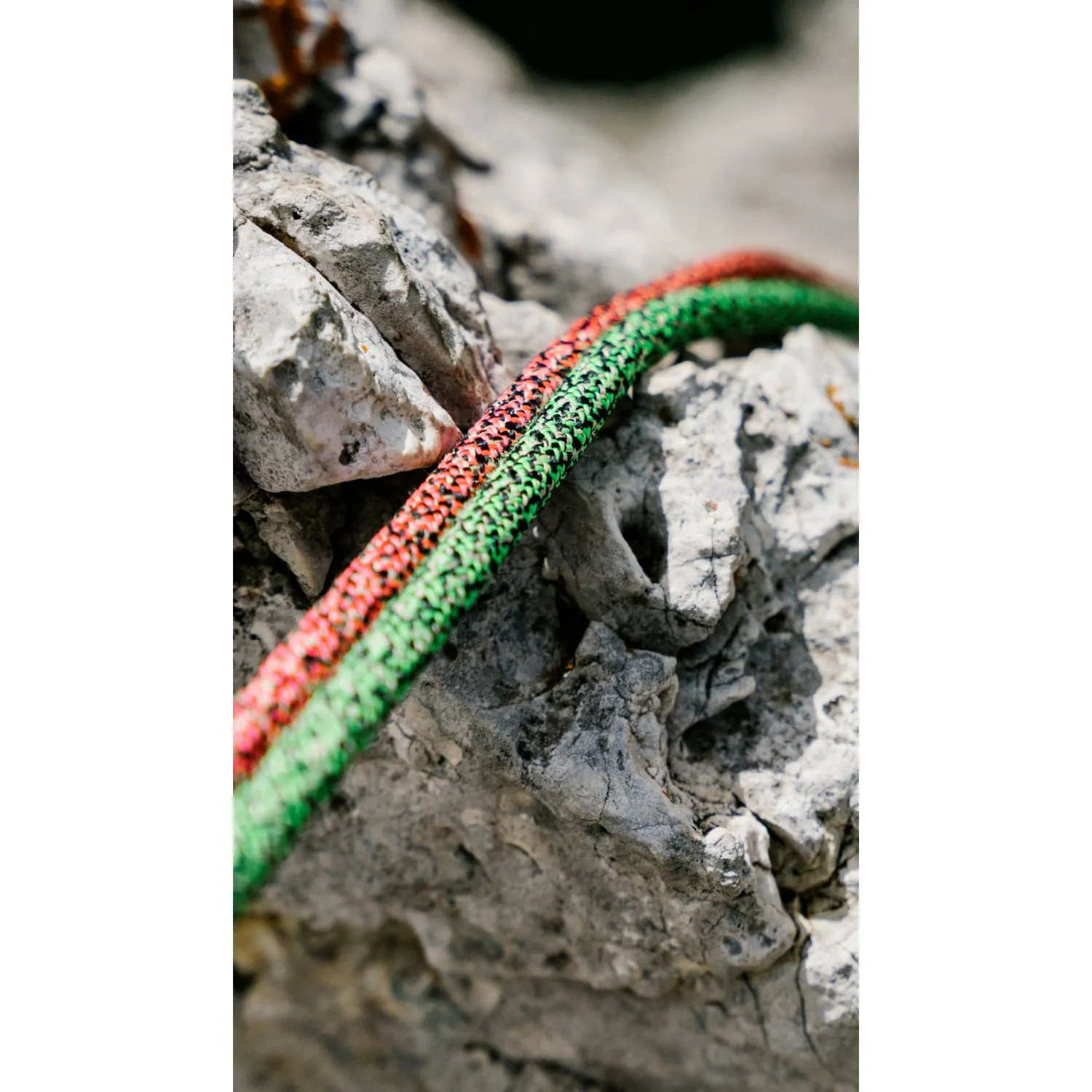 Edelrid Swift Protect Pro Dry 8.9mm (per metre)