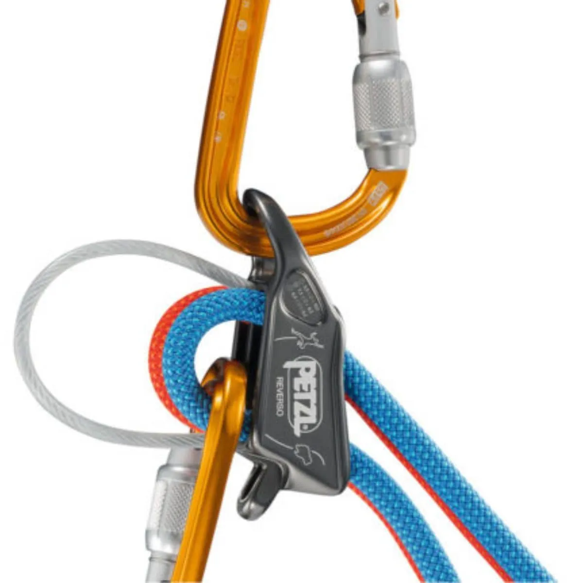 Reverso Belay Device/Descender - Grey
